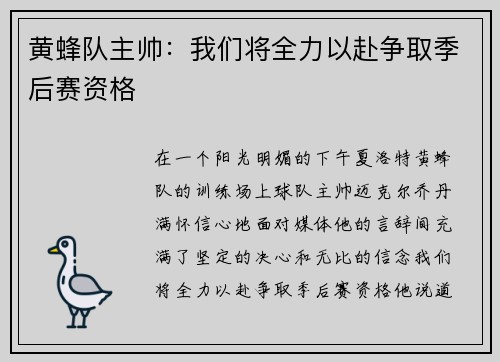 黄蜂队主帅：我们将全力以赴争取季后赛资格